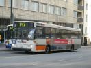 Carrus City M, Concordia Bus